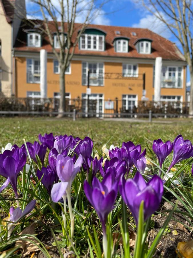 Altes Kasino Hotel Am See Neuruppin Exteriör bild